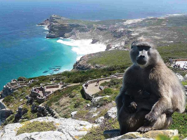 The Garden Route and beyond, South Africa