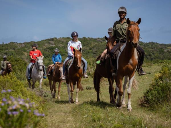 The Garden Route and beyond, South Africa