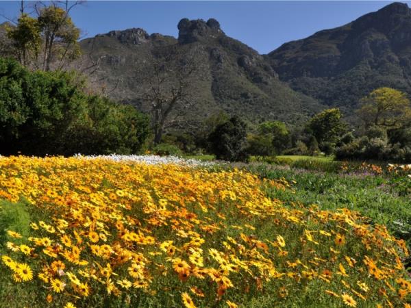 The Garden Route and beyond, South Africa
