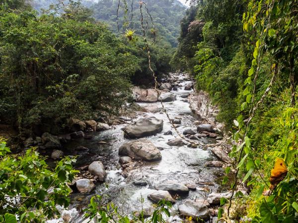 Lost City charity trek, Colombia