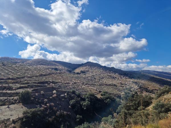 Spain hiking vacation, Walking in blossom