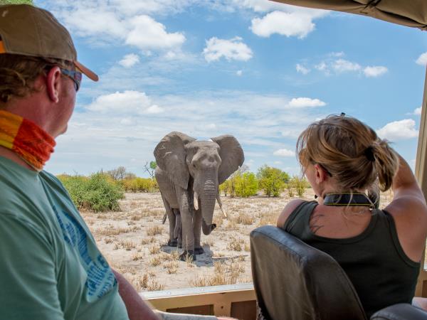 Botswana wilderness safari 