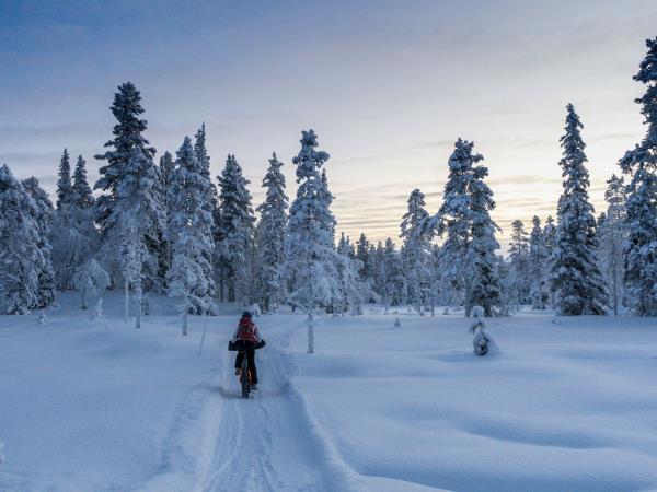 Finland winter wilderness adventure tour