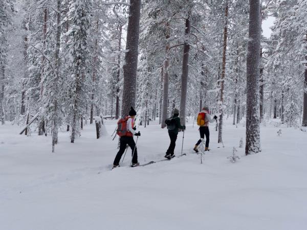 Finland winter wilderness adventure tour