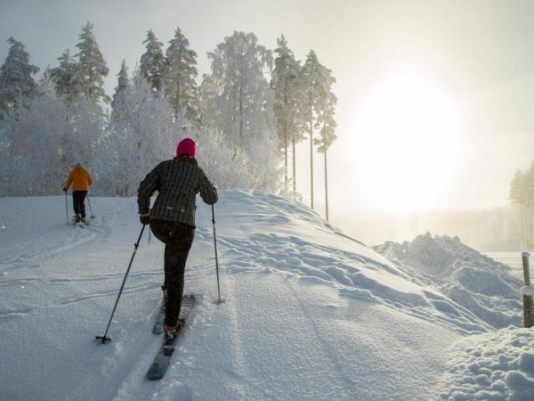 Finland winter wilderness adventure tour