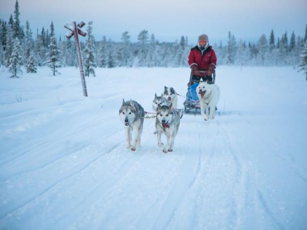 Northern Lights hunter short break