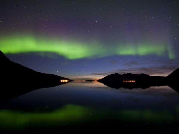 Huskies, Wilderness and Autumn Northern Lights