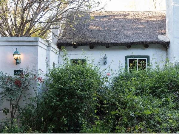 Surf and yoga retreat, South Africa