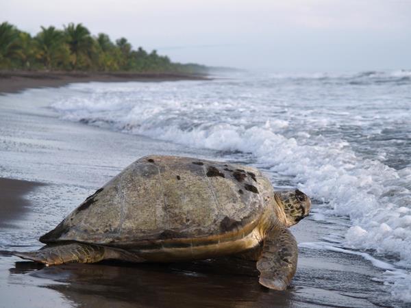 Costa Rica off the beaten track vacation