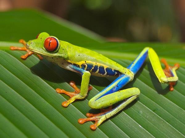 Costa Rica off the beaten track vacation