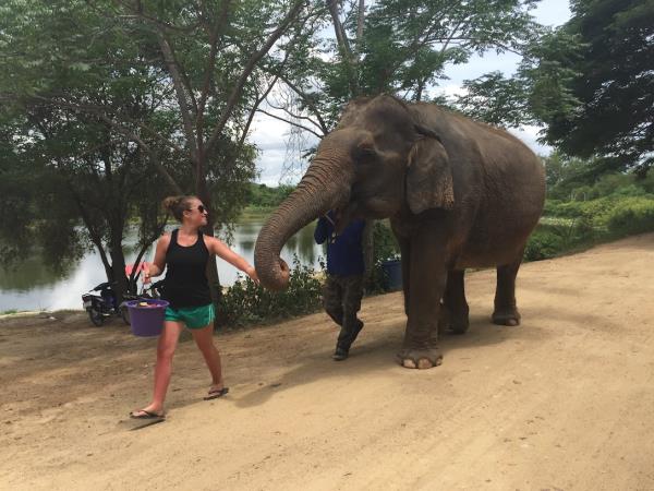 Elephant conservation vacation, Thailand