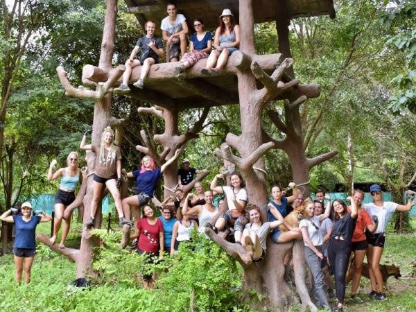 Volunteering Thailand, wildlife rescue centre