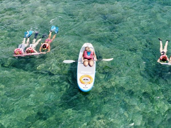 Greece, turtle volunteering for families