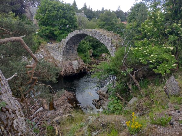 Scotland painting holiday, around the blooming heather