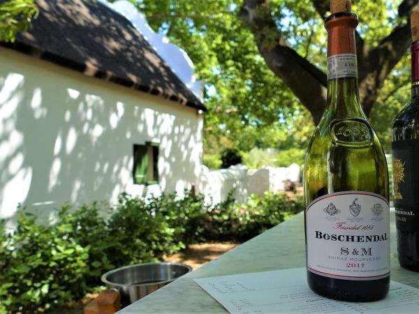 Cape Town homestay vacation, South Africa