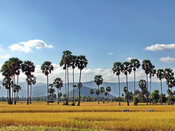 Family tour to Cambodia and Thailand