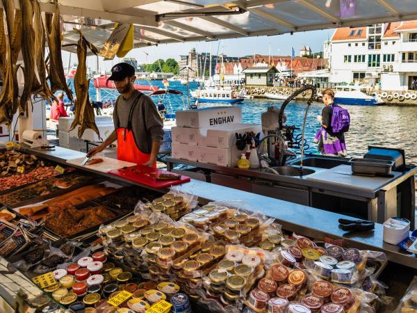 Bergen and Fjord cruise vacation in Norway