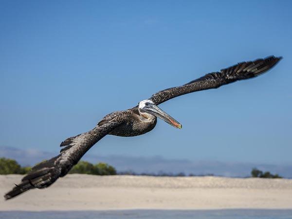Galapagos Islands small ship cruise vacation