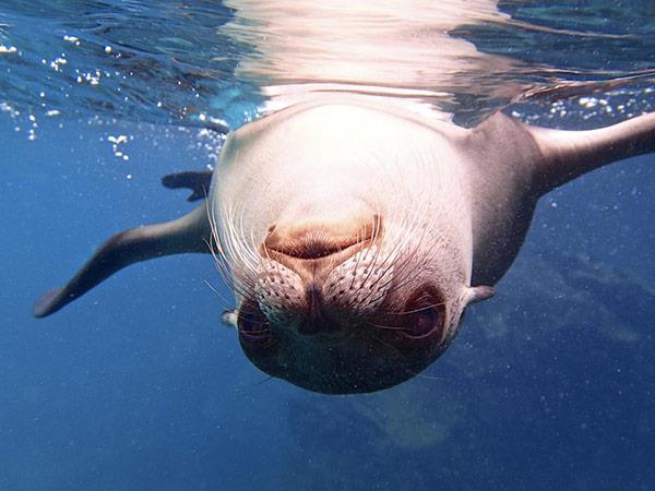 Galapagos Islands small ship cruise vacation