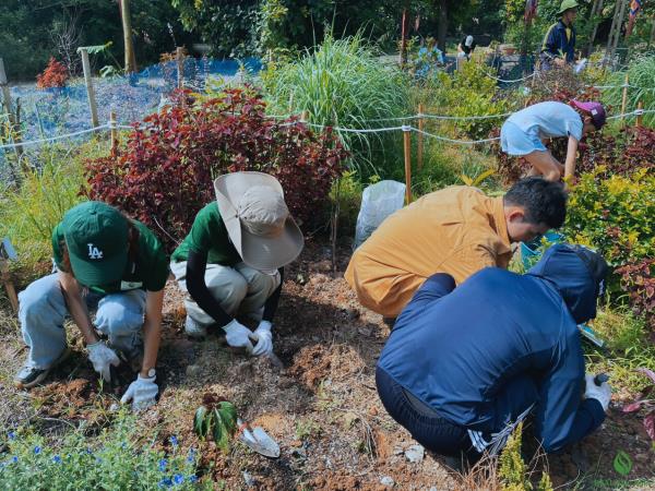 Vietnam community tour with volunteering
