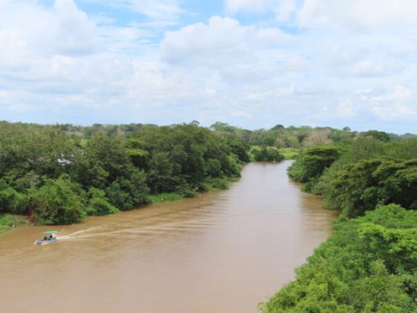 Rare wildlife vacation, Costa Rica