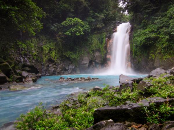 Rare wildlife vacation, Costa Rica