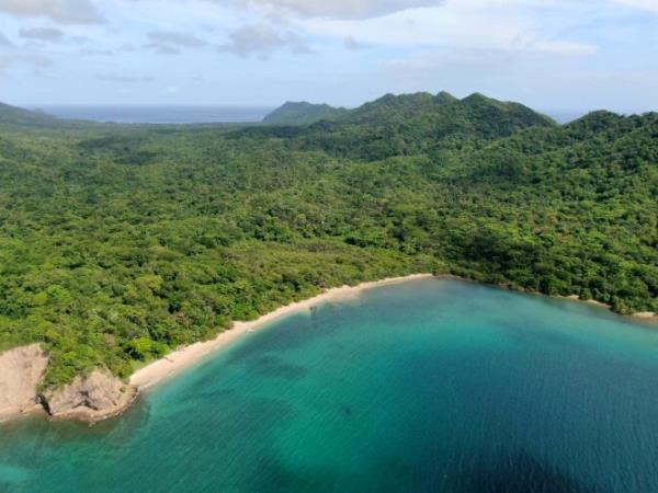 Rare wildlife vacation, Costa Rica