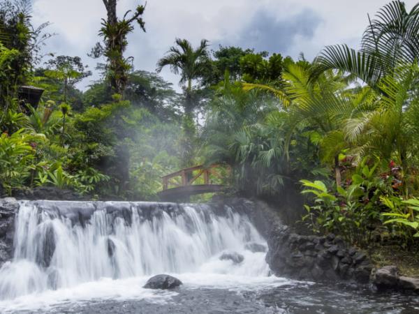 Rare wildlife vacation, Costa Rica