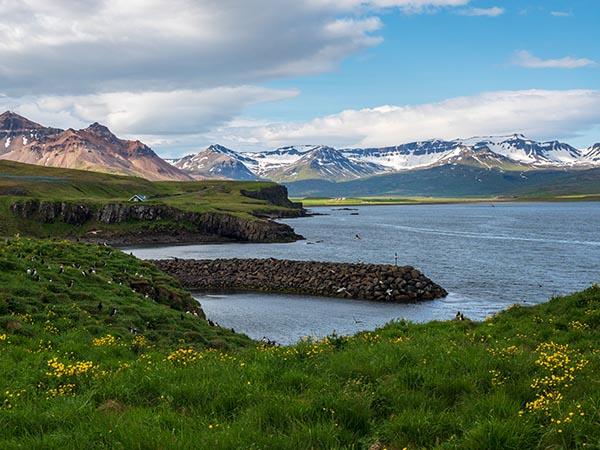 Iceland circumnavigation cruise