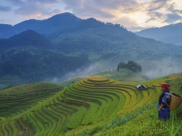 Northern Vietnam walking and culture tour 