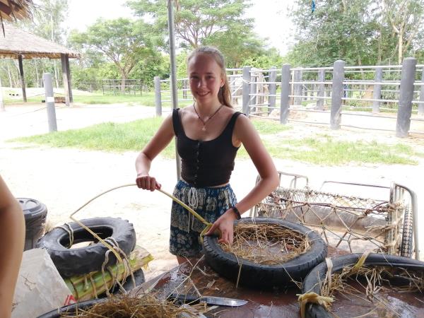 Family wildlife rescue vacation, Thailand