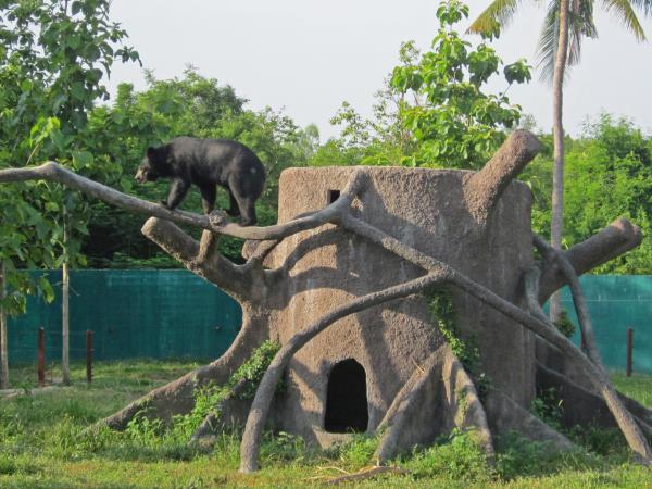 Family wildlife rescue vacation, Thailand