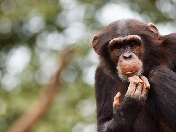 Sierra Leone discovery tour