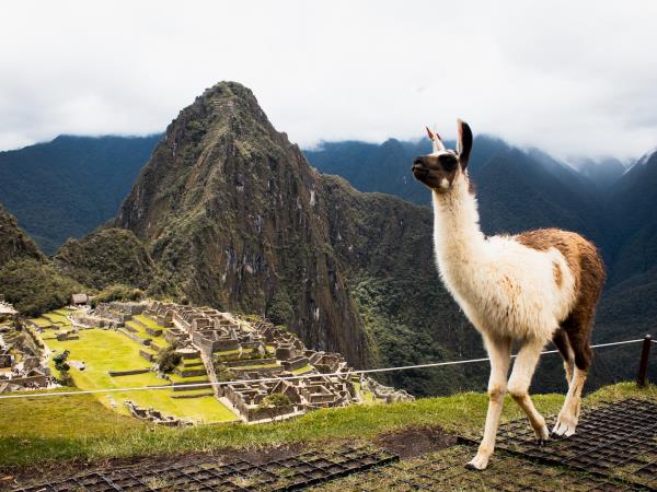 Wonders of Peru vacation