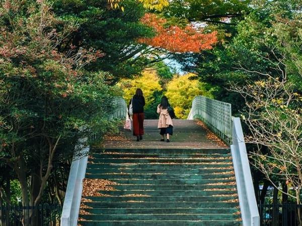 Japan backpacking vacation, 2 weeks