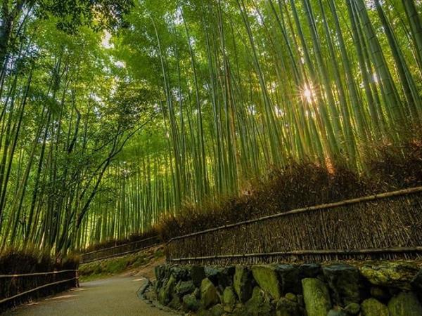 Japan backpacking vacation, 2 weeks