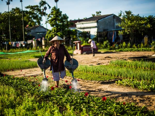 Cambodia and Vietnam 10 day tour
