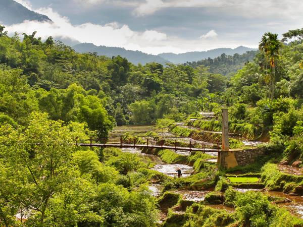 Vietnam familiy holiday, tailor made
