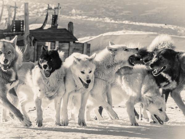 Greenland photography tour, Uummannaq & Ilulissat