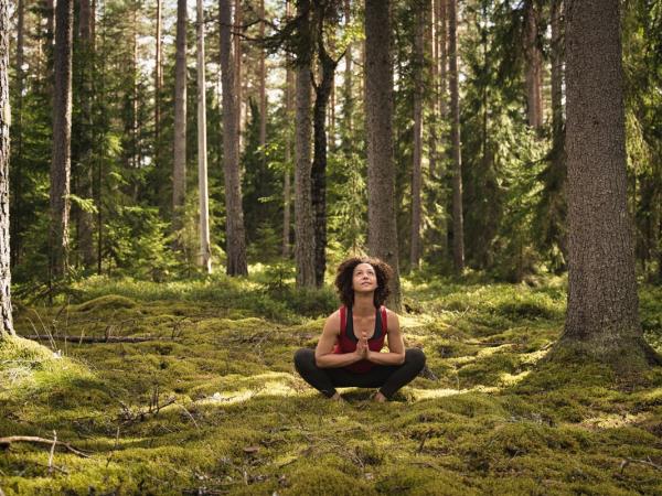 Sweden rewilding and yoga vacation