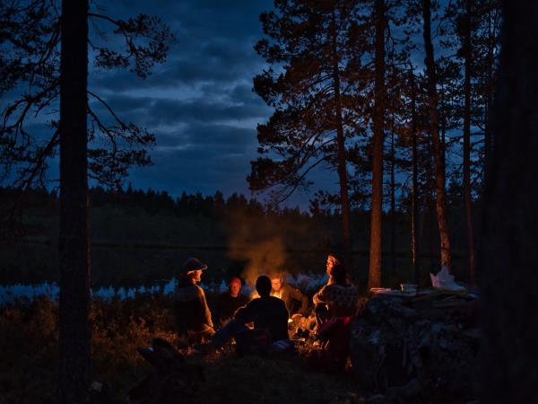Sweden rewilding and yoga vacation