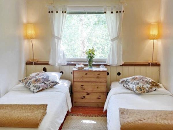 Sweden rewilding and yoga vacation