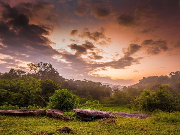 Luxury wildlife vacation in Sri Lanka