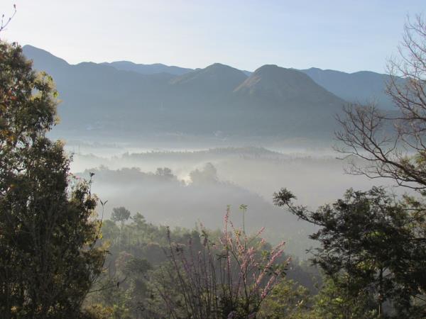Nilgiri Hills nature and indigenous culture vacation, India