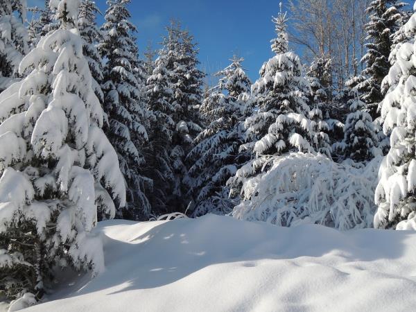 Winter walking vacation in Slovakia