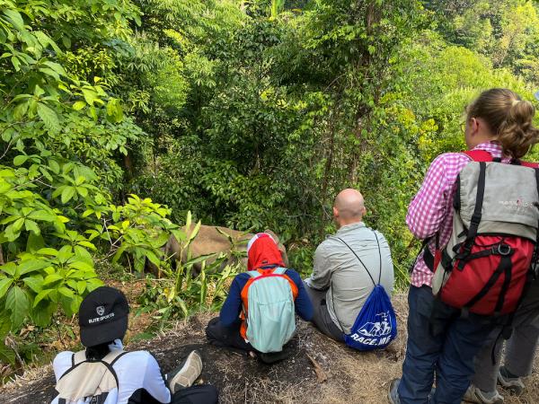 Family community volunteering and elephant watching, Thailand