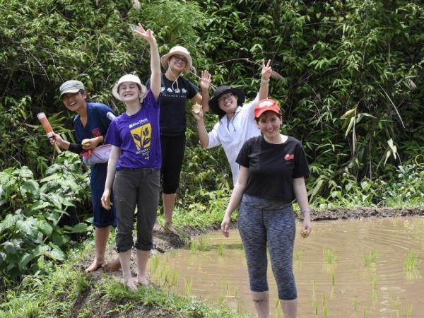 Family community volunteering and elephant watching, Thailand