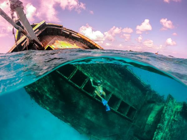 Maldives snorkeling & shipwreck self guided tour