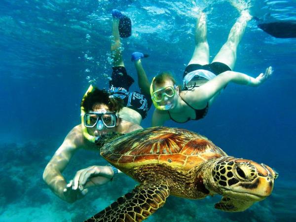 Maldives snorkeling & marine life awareness tour