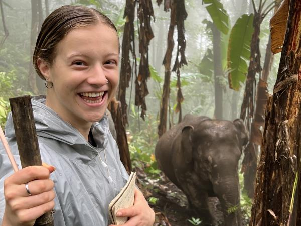 Community volunteering and elephant watching, Thailand